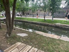 -春风习习