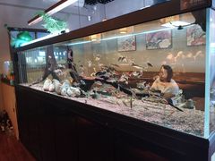 -阿泽料理