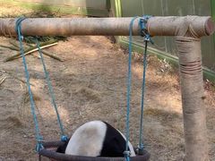 -栾川竹海野生动物园