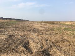 景点-南汇嘴观海公园