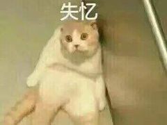 -荣巷小馄饨(荣巷店)