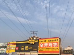 -中环花鸟鱼虫市场