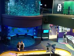-瑞普利水族馆