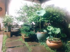 -院子餐厅·大锅菜·老杭帮(桥西直街店)