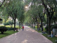 -唐城墙遗址公园