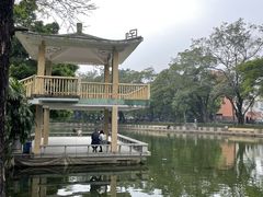 -晓港公园