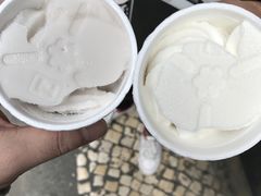 -洪馨椰子