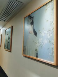 -盘子女人坊生日照·摄影馆(华强店)