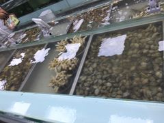 -盒马渔市餐厅