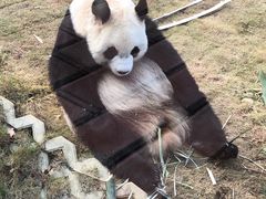 -泉州海丝野生动物世界