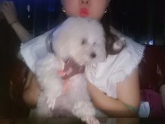 -好声音时尚量贩KTV(之心城店)