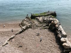 景点-海驴岛(荣成市)