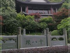 -十八棵（老龙井）御茶园(老龙井店)