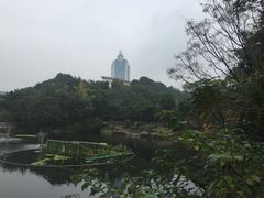 -百林公园-两江幸福广场