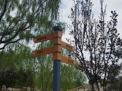 -马家湾湿地公园