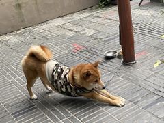 -奎星楼街