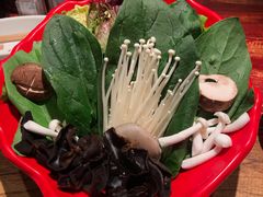 -额尔敦传统涮(公园西路店)