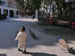 -J Create城市露营咖啡·简餐·宠物(上海动物园店)