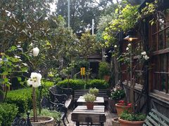 -The Grounds of Alexandria