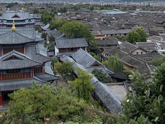 -阿鹏故事云南野生菌火锅(人民路店)