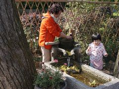 -杭州花家山庄