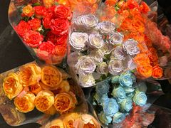 -桂林市花鸟市场