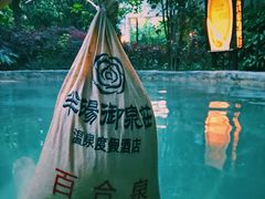 -深业半汤御泉庄温泉