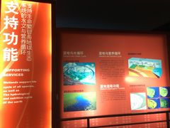 -中国湿地博物馆