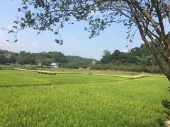 -红山村