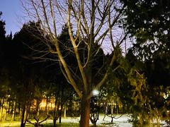 -元大都城垣遗址公园