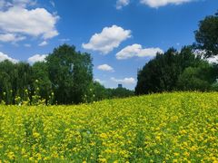 -长白岛森林公园