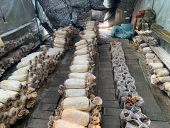 -大自然农场蔬菜草莓采摘园