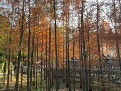 -梅峰山地公园