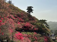 -木兰云雾山