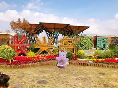 -上海长兴岛郊野公园