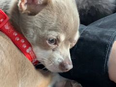 -美玲拉面(鞍山西道店)