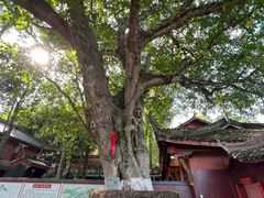 -中国观音故里广德景区