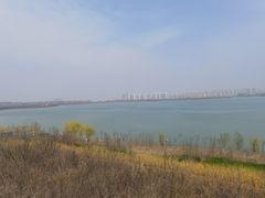 -天津东丽湖风景区
