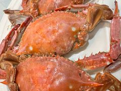 -日月昇渔家菜·海肠捞饭·大连海鲜(星海公园店)