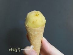 蜂糖李雪芭-歎雪糕低糖低脂Gelato冰淇淋