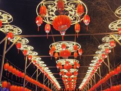 -青龙湖公园