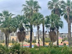 -中国死海旅游度假区