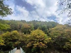-光雾山旅游景区