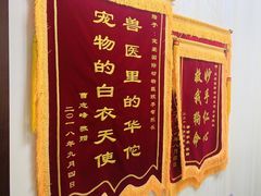 -宠爱国际动物医院· 猫科· 外科·中兽医(长白店)