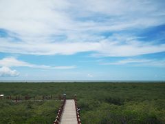 -北海金海湾红树林生态旅游区