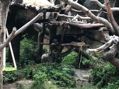 -圣地亚哥动物园