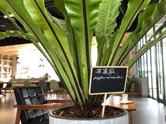 -山下C5cafe(惠通时代广场店)