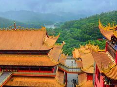 -东莞市大岭山森林公园