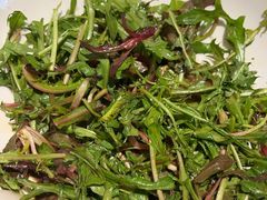 -燕郊烧鸽子(酷车小镇店)