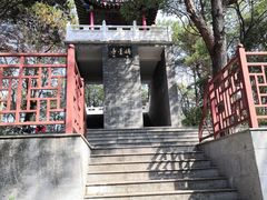 -青龙山国家森林公园